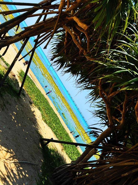 ご予約受付中☝️