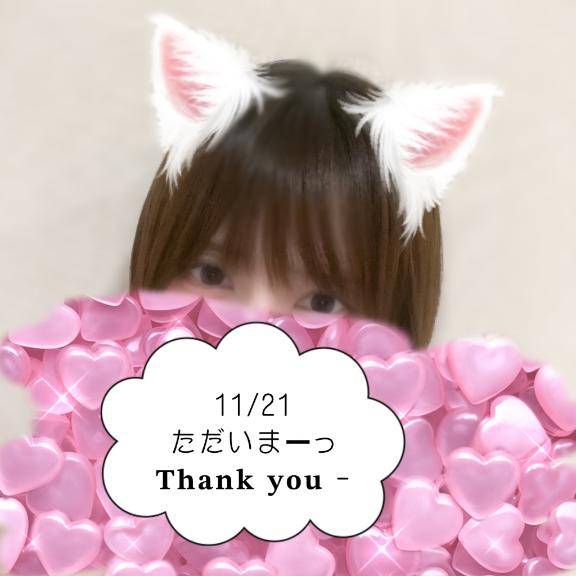 ただいまにゃん