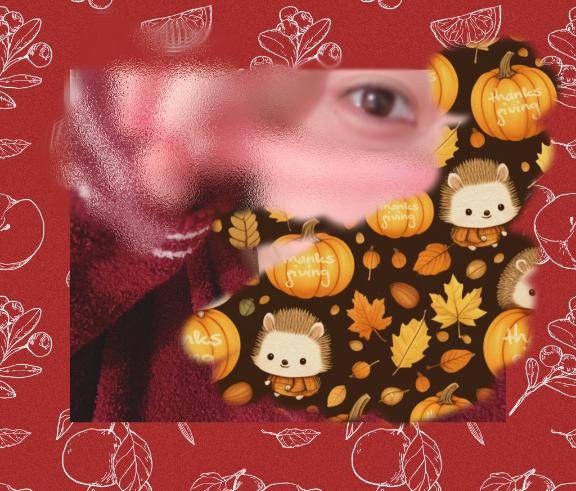 11/27低気圧だって