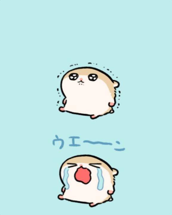 すみません?