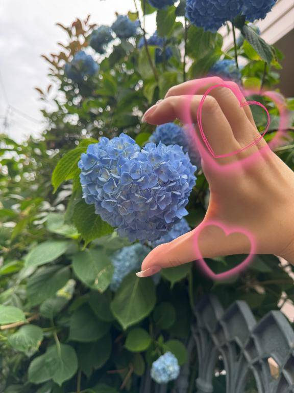 6がつの花