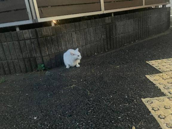 痛ーい?