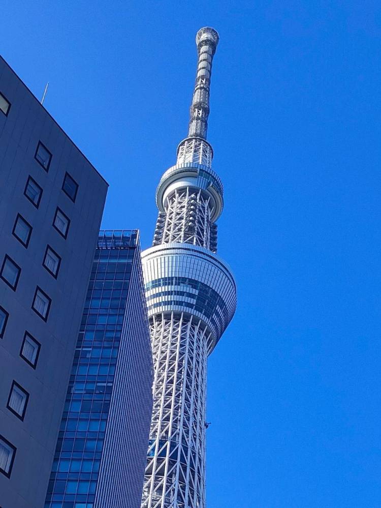 完熟ばなな 新宿☆なお☆です