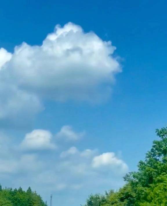 空の青さと深い緑と