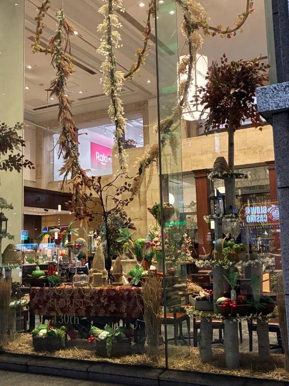 きょうはメンテナンスDAY⭐️