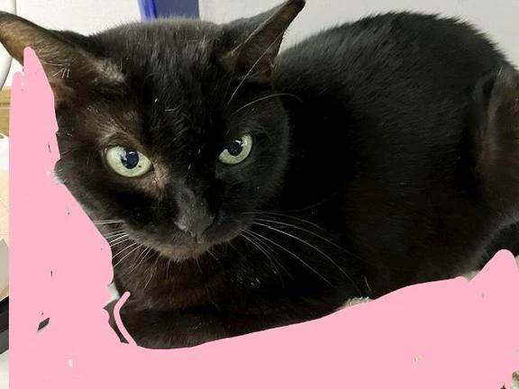 本日、出勤してます。