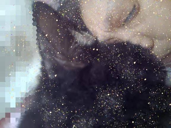 おはようございます。