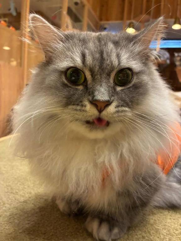 良いお天気🌞明日は…？出勤だけど🎃