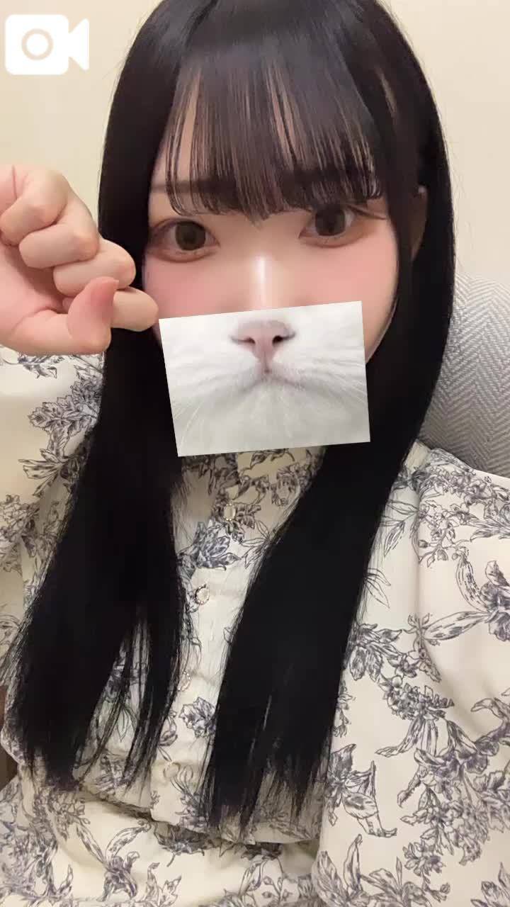 吾輩は猫かもしれないｷｬｯ🫠💕