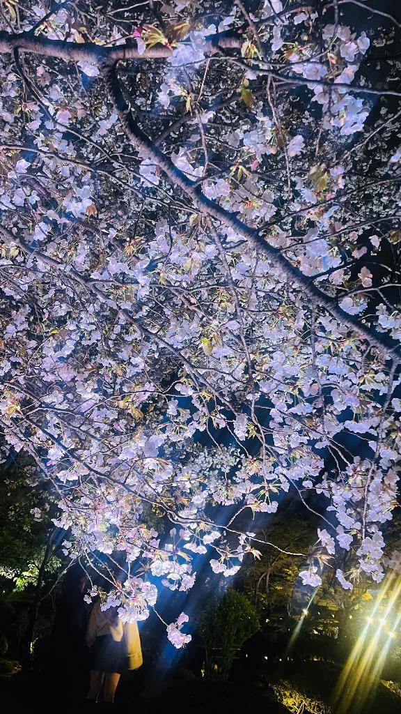 完売ありがとうございます✨