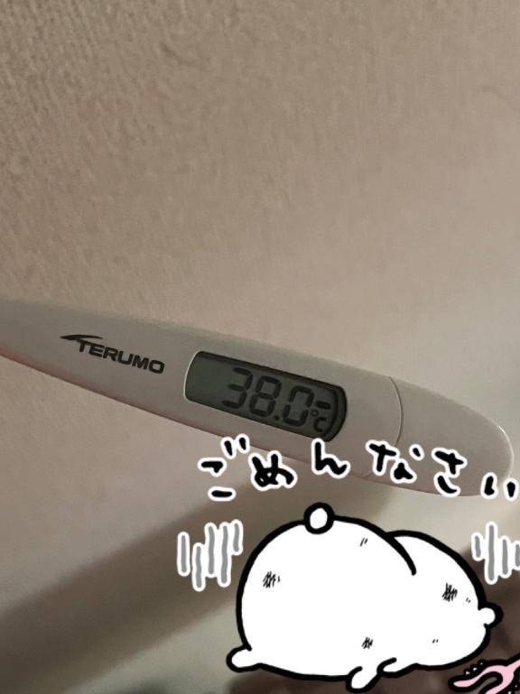 🙇‍♀️🙇‍♀️