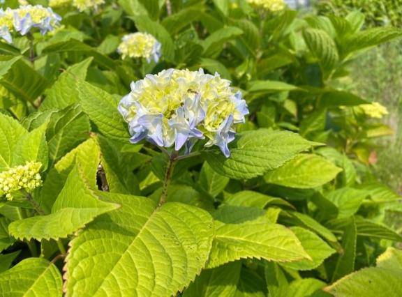 6月5日出勤しました🌸