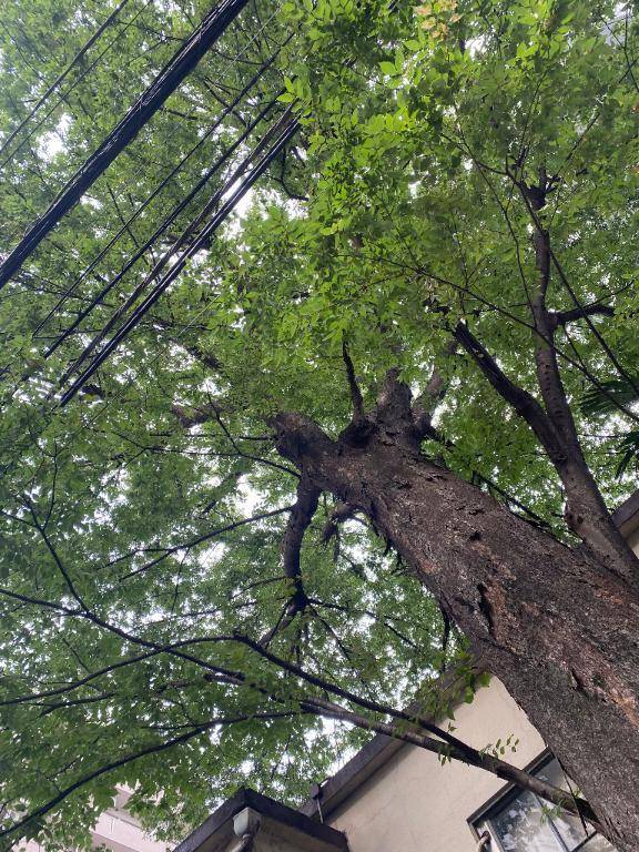 7月9日出勤しました🌸