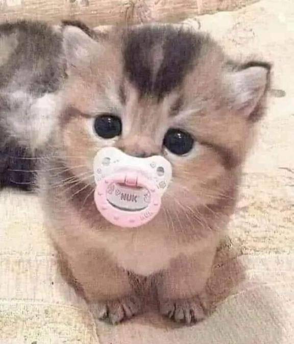 楽しかった〜🎀