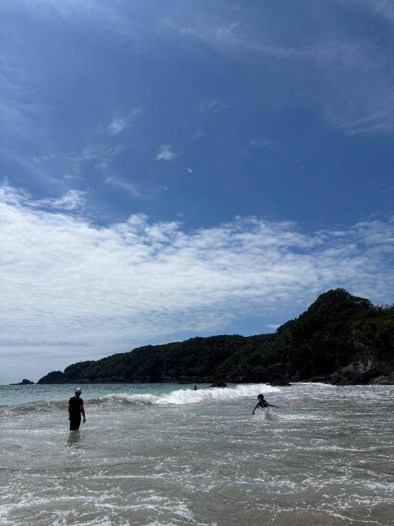 出勤のおしらせ⋆͛📢⋆