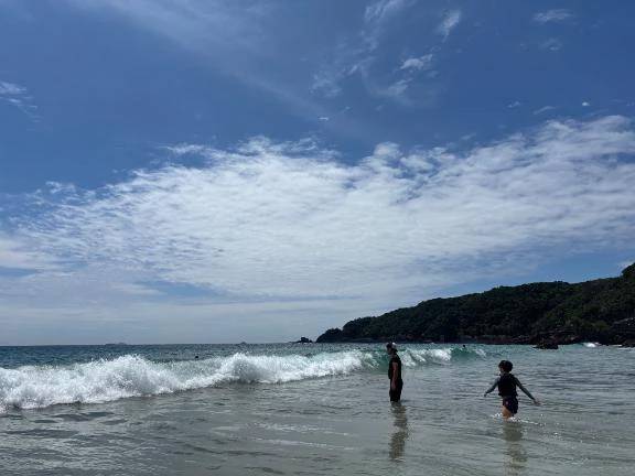 今後の出勤予定✨