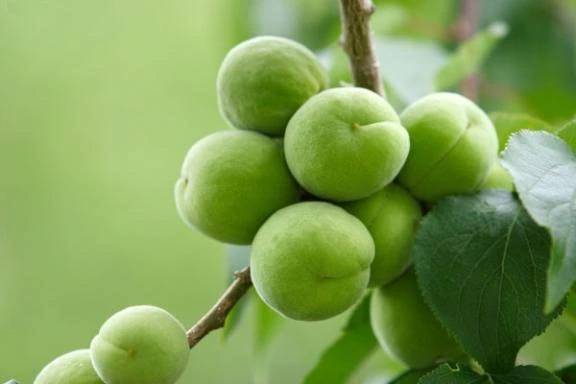 お礼日記💌ホテルエルスのYさん