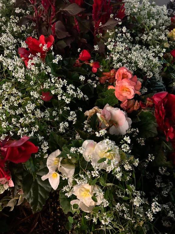 今週のシフト追加しました💝