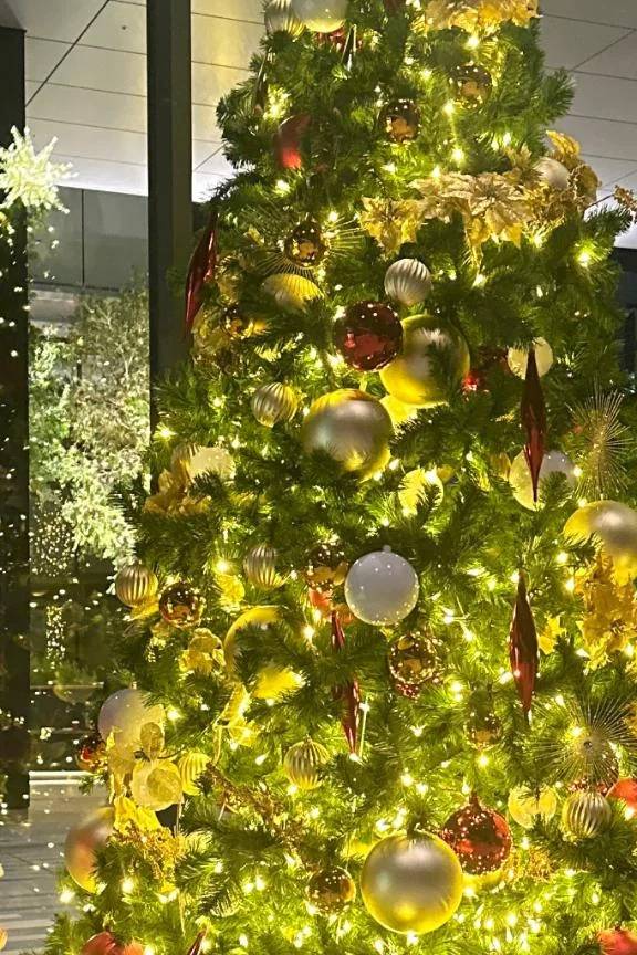 つぎあえる日！