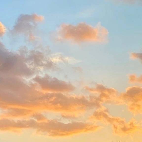 おはようございます♬