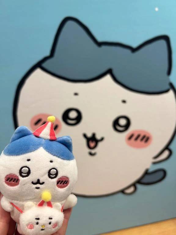 🌸はなきん🌸