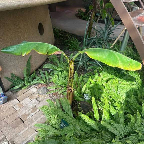 休日ってなにする？🍣