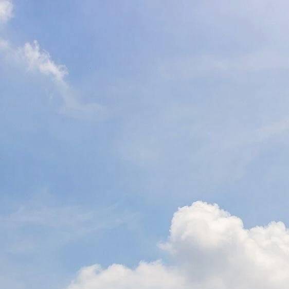 おはようございます♪