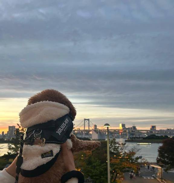 今月最後かな😭