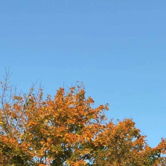 おはようございます♡