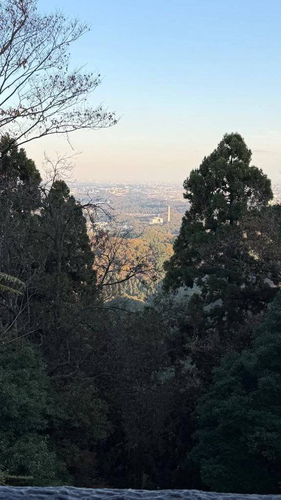 ラスト１ヶ月！