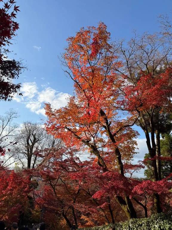 久しぶりに出勤します