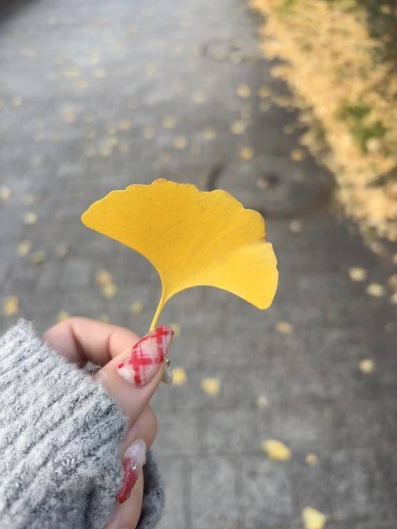 今日もありがとう💓