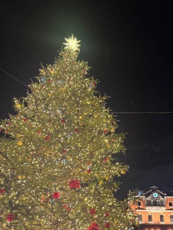 きらいになれない🥺