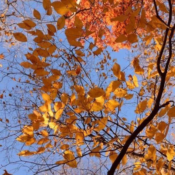 おはようございます♡