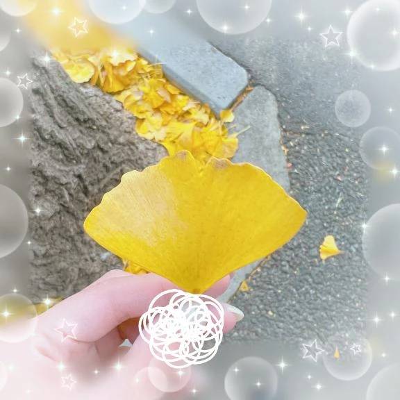 遅れて見つけた🍁🍂