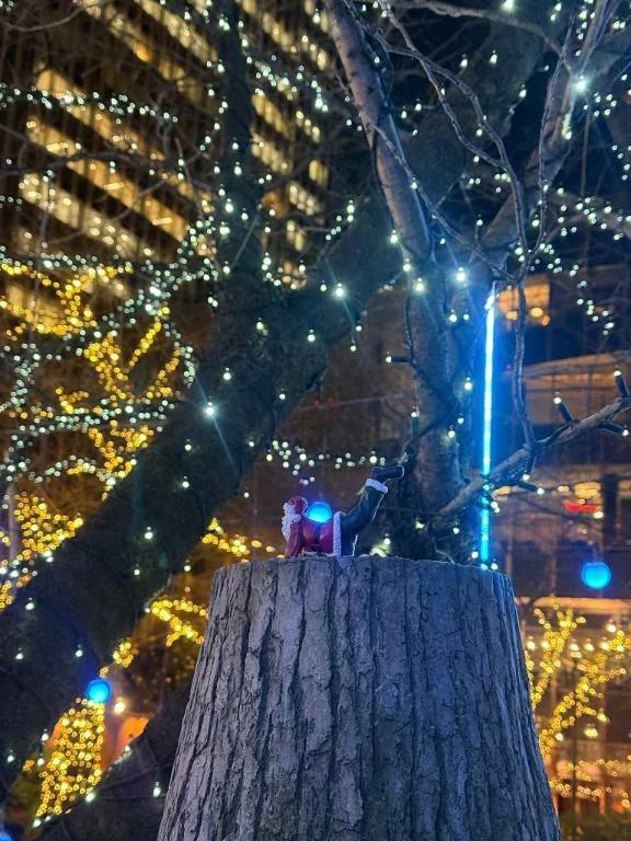 チャンスDAY💓💕