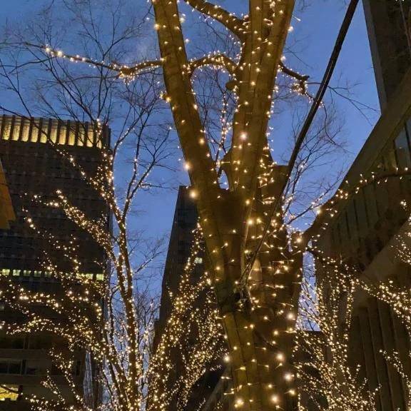 今年最後の♡出勤予定