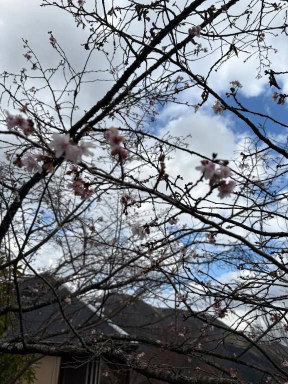 もしかして、、