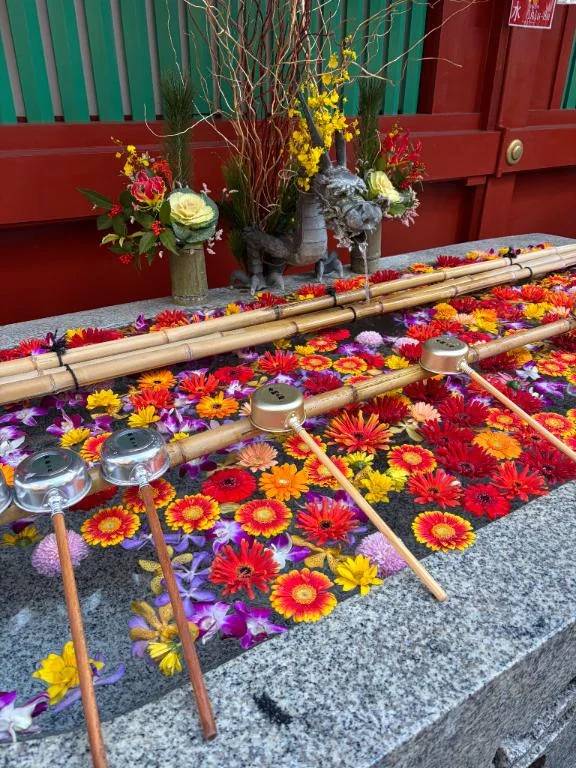 明けましておめでとうございます🎍