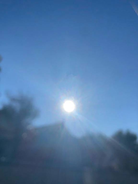 今日も元気に！