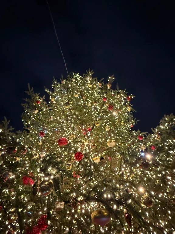 明日よろしくお願いします