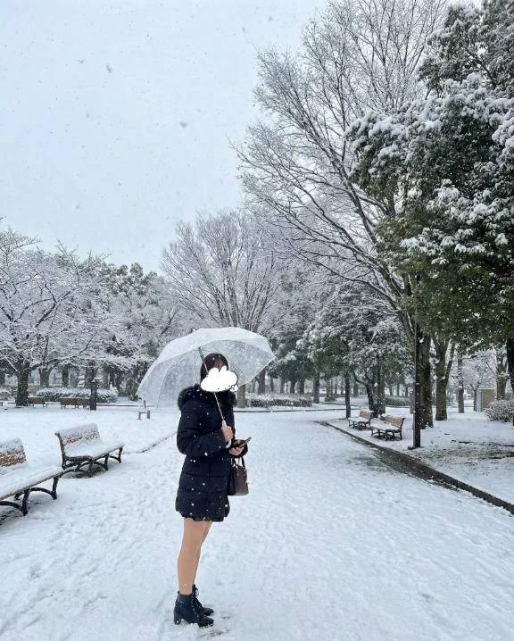 雪積もった〜〜‼️☃️🌨