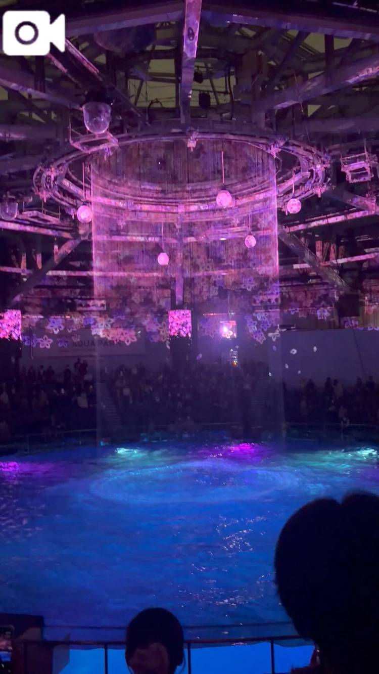 大好きな場所🐬🦭