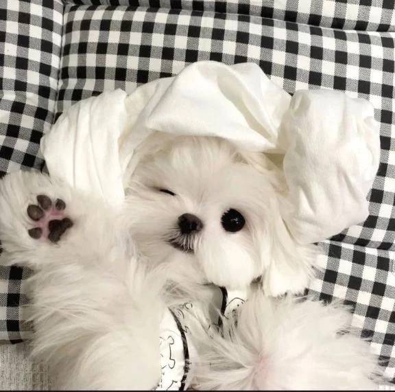 出勤予定♡