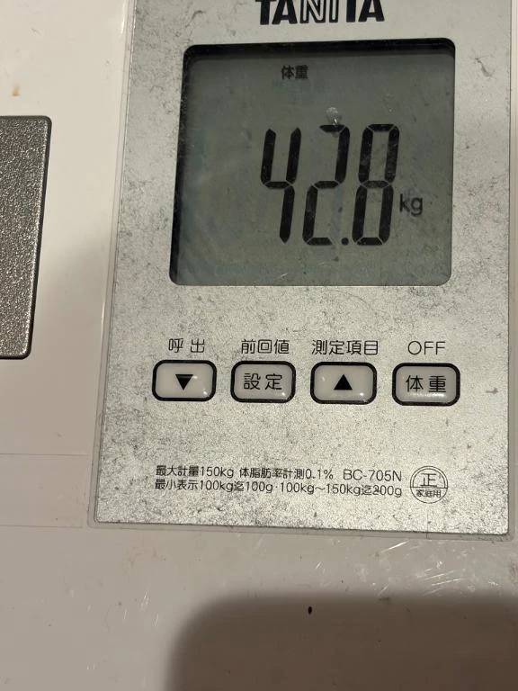 えらいでしょ💮