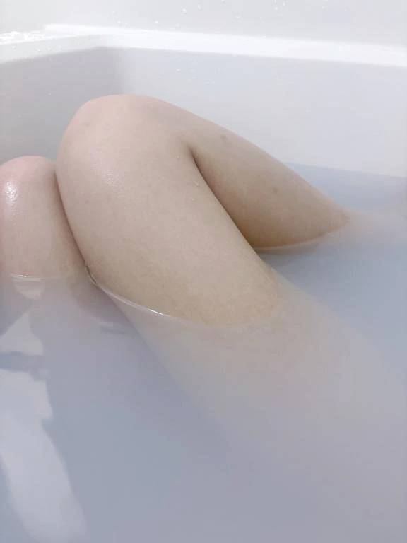 おやすみします😿