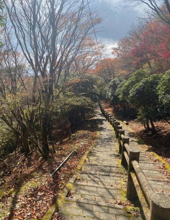 出勤予定について🌸