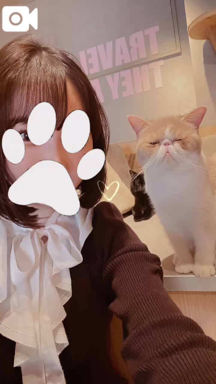 イメチェン✂️