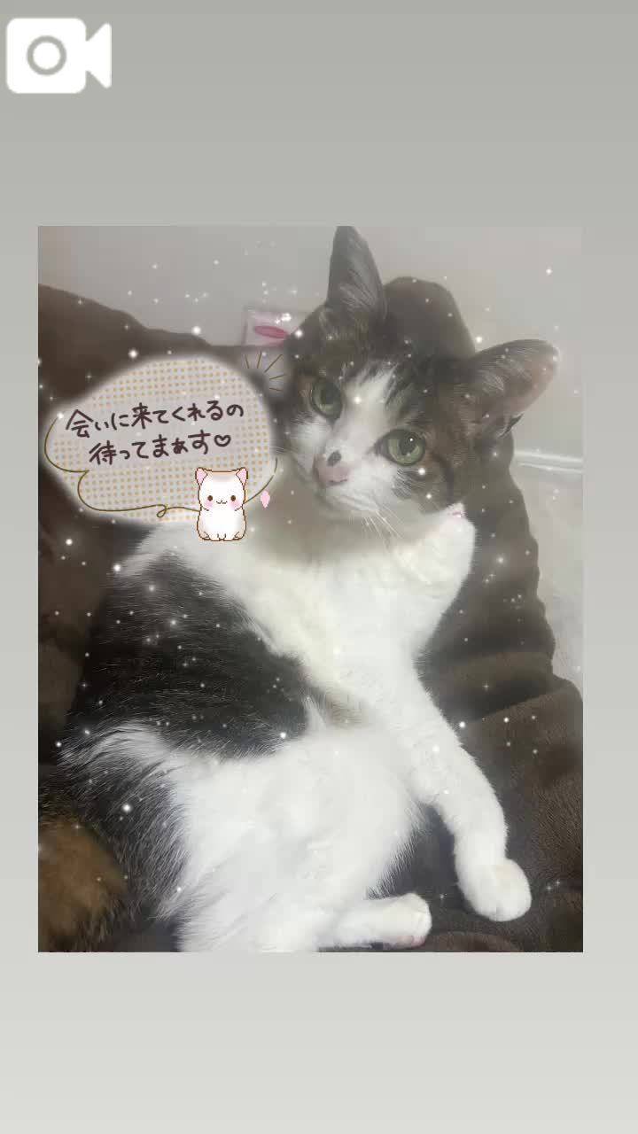 まってるね