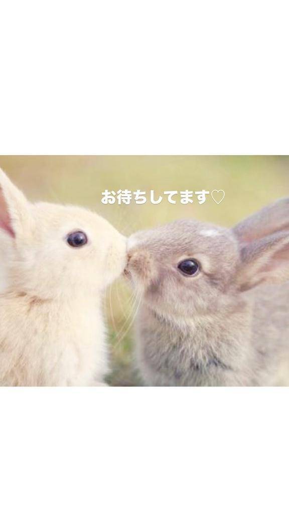 🐰